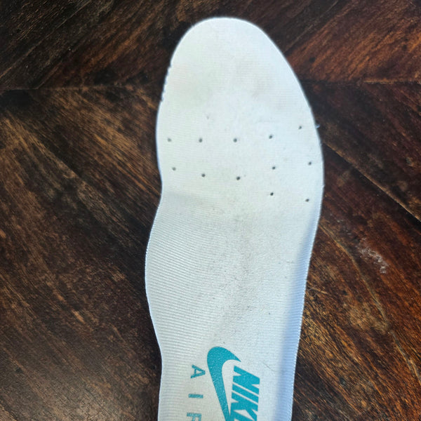Nike Air Max 1 Dusty Cactus maat 36,5