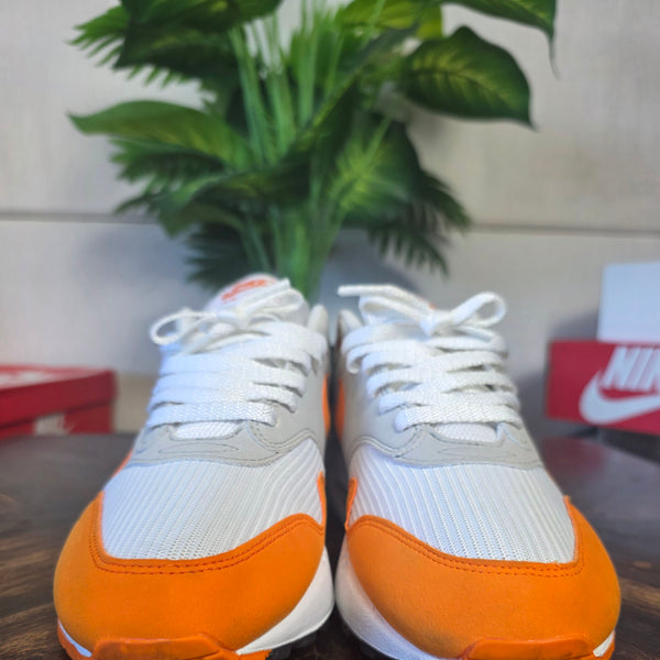 Nike Air Max 1 Anniversary 
