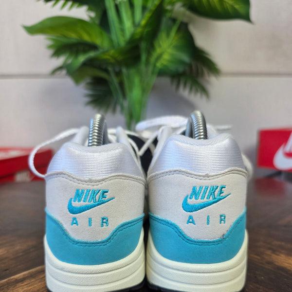 Nike Air Max 1 Dusty Cactus maat 38,5