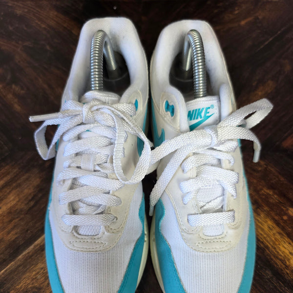 Nike Air Max 1 Dusty Cactus maat 38,5