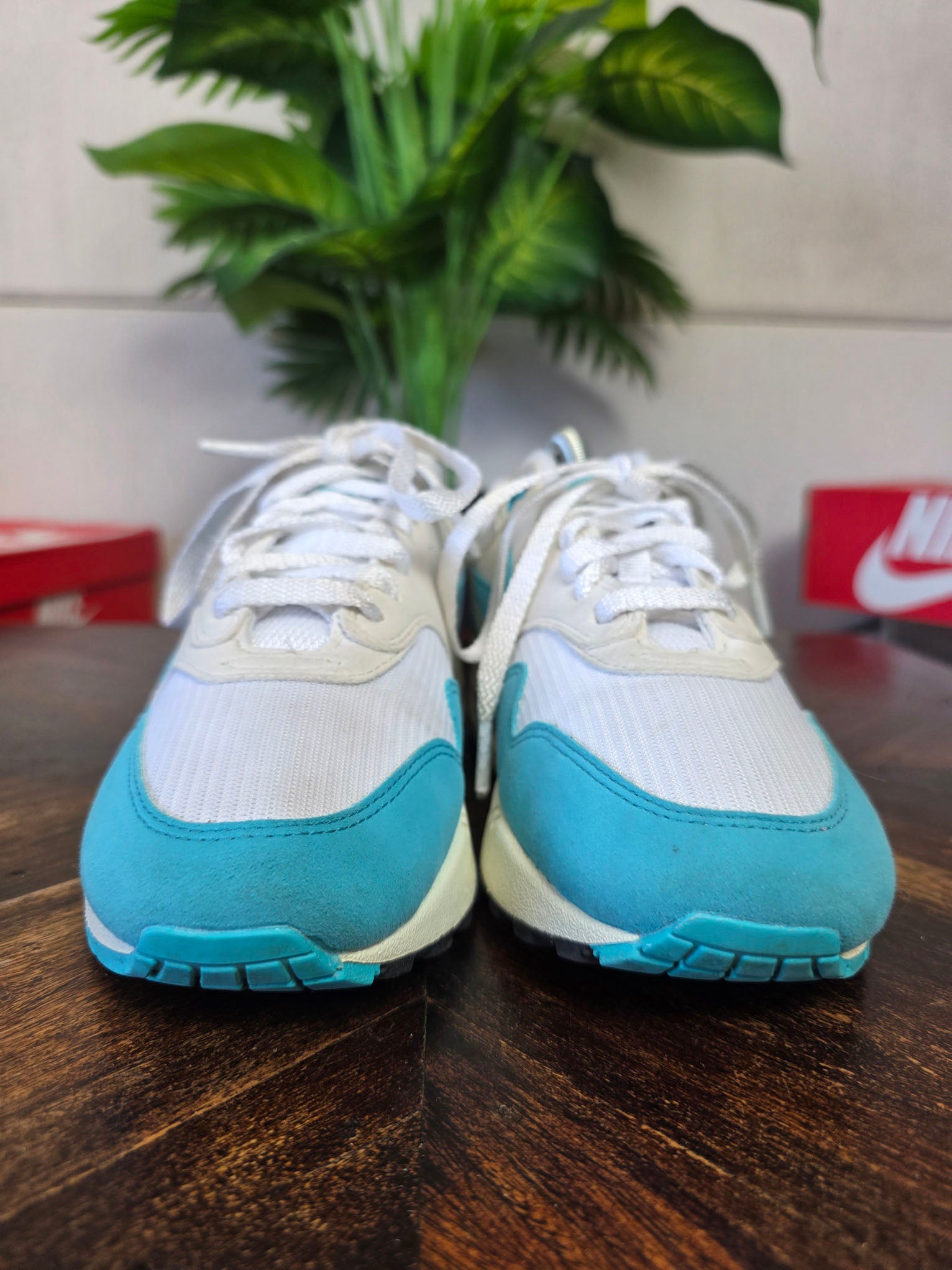 Nike Air Max 1 Dusty Cactus maat 38,5