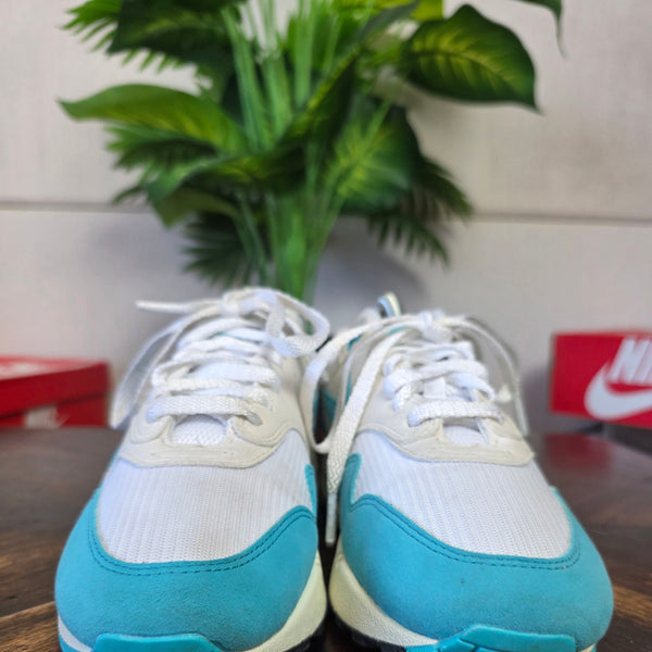 Nike Air Max 1 Dusty Cactus maat 38,5
