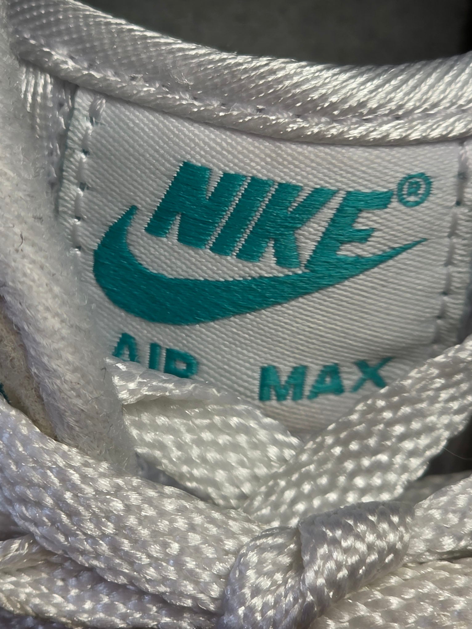 Nike Air Max 1 Dusty Cactus maat 38,5