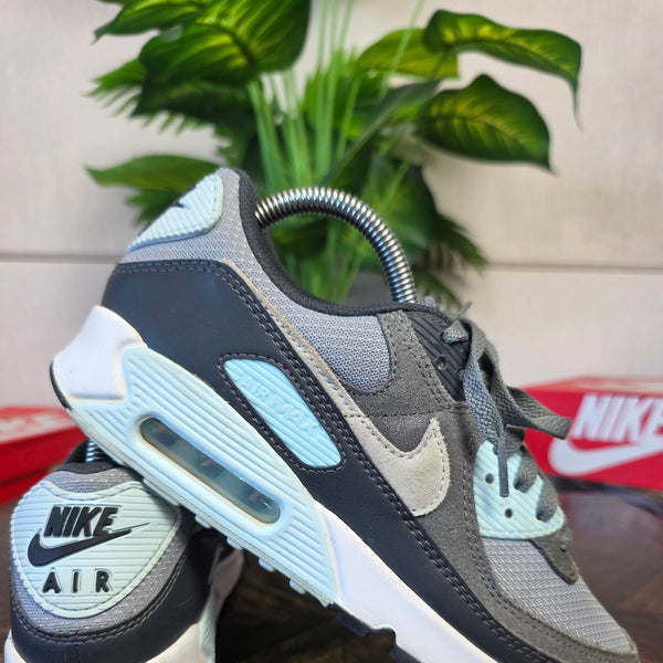 Nike Air Max 90 Light Pumice Smoke Grey maat 40