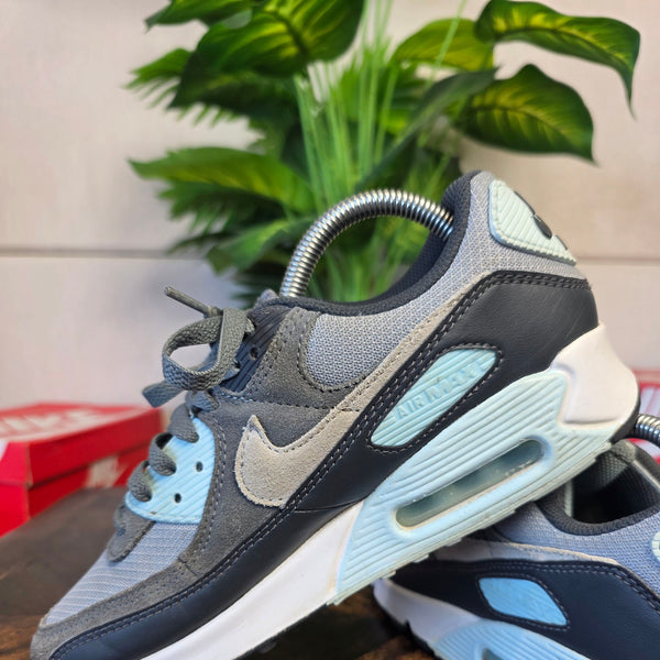 Nike Air Max 90 Light Pumice Smoke Grey maat 40