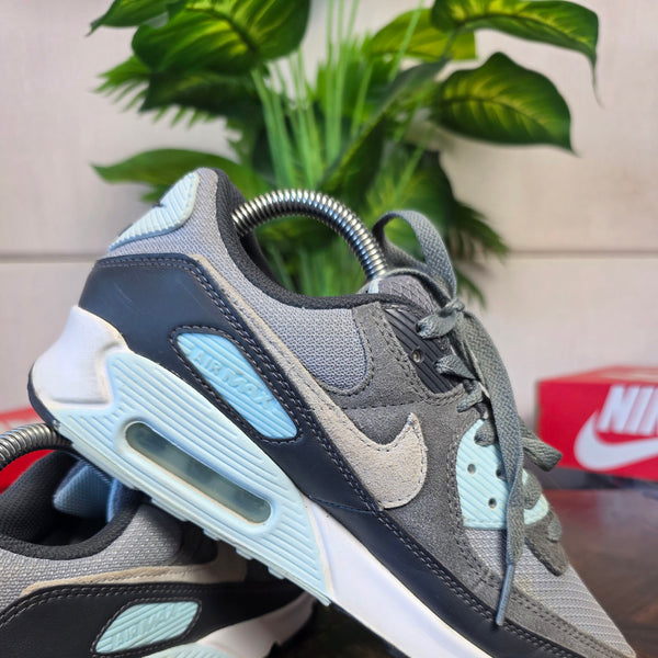 Nike Air Max 90 Light Pumice Smoke Grey maat 40