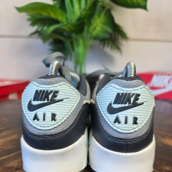 Nike Air Max 90 Light Pumice Smoke Grey maat 40