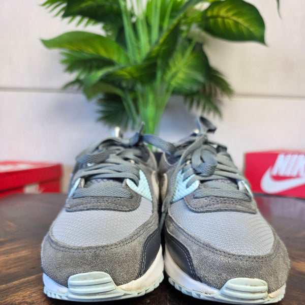 Nike Air Max 90 Light Pumice Smoke Grey maat 40