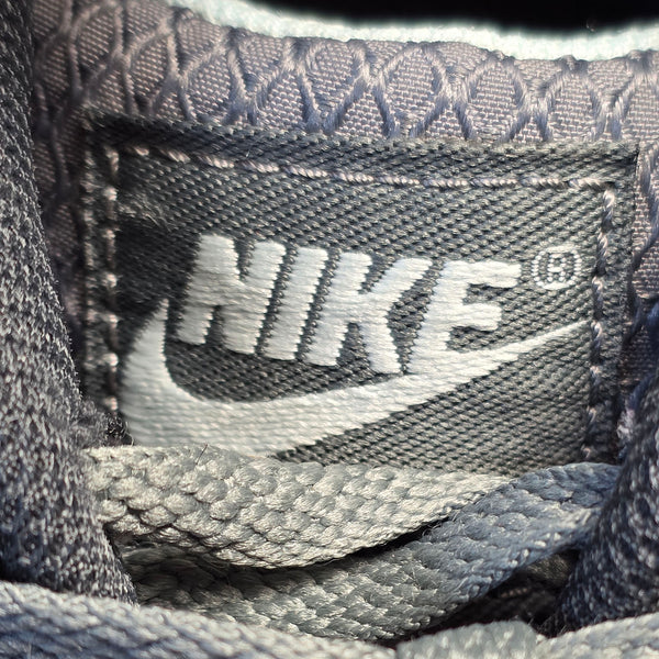 Nike Air Max 90 Light Pumice Smoke Grey maat 40