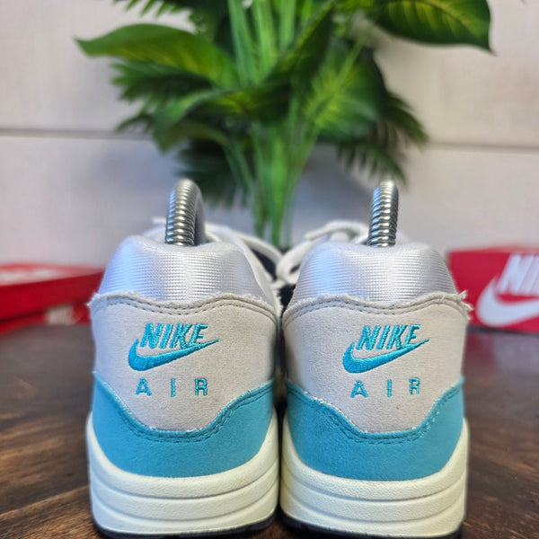 Nike Air Max 1 Dusty Cactus maat 37,5