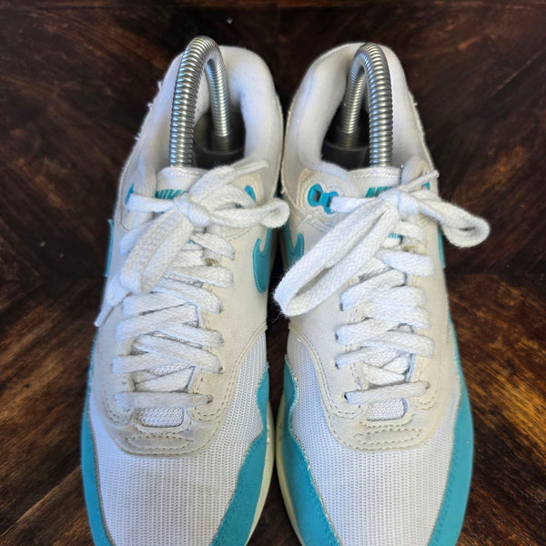 Nike Air Max 1 Dusty Cactus maat 37,5