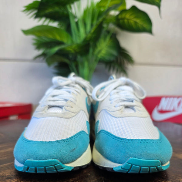 Nike Air Max 1 Dusty Cactus maat 37,5