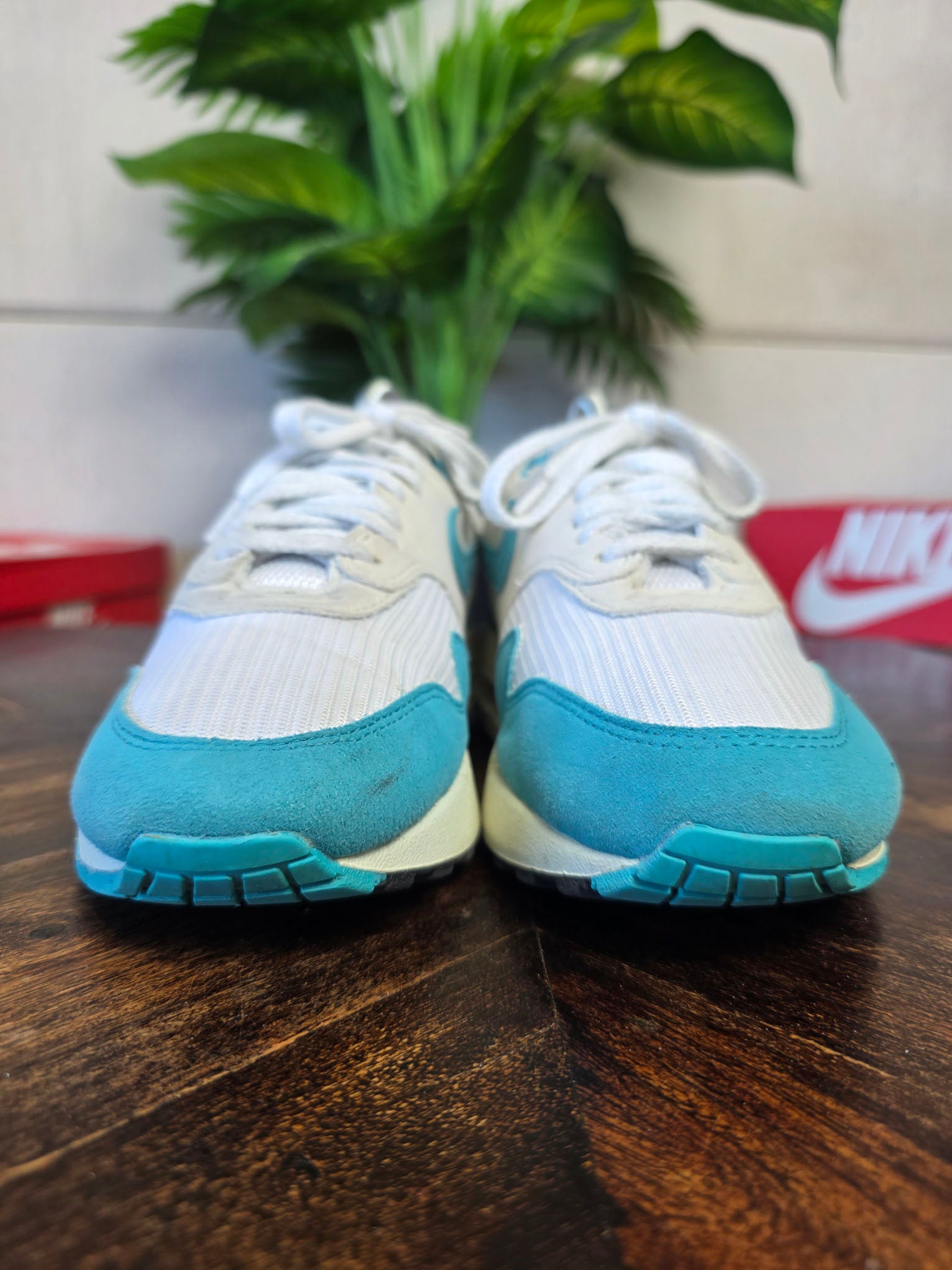 Nike Air Max 1 Dusty Cactus maat 37,5