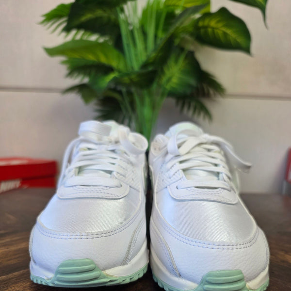 Nike Air Max 90 Pistachio Frost maat 40